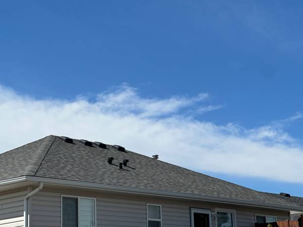 Commercial Roofing Services in Port Huron, MI